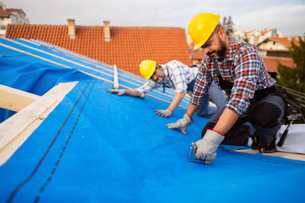 Best Chimney Flashing Repair  in Bethel Manor, VA